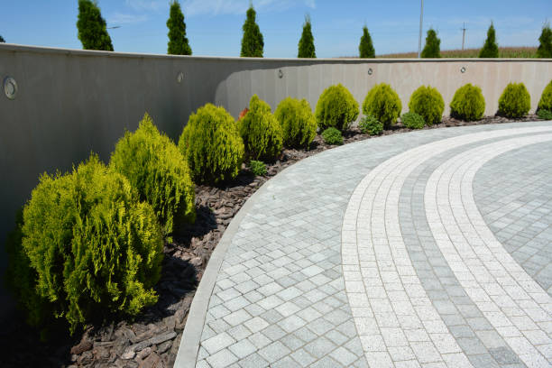 Reasons to Select Us for Your Driveway Paving Requirements in Clarendon, TX